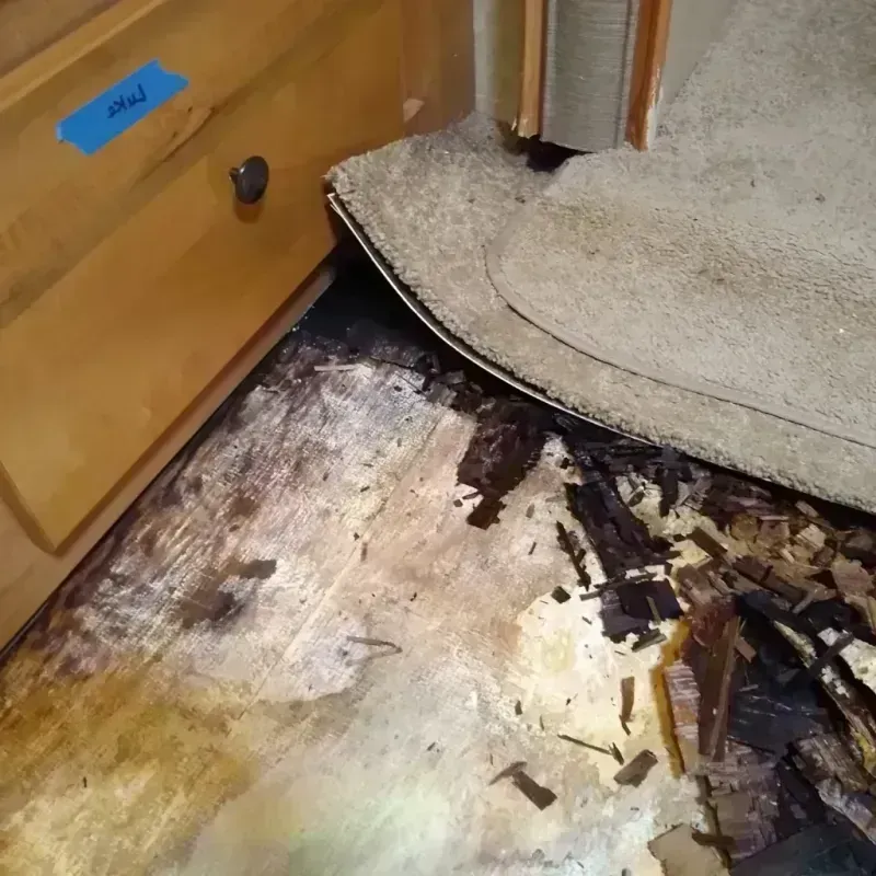 Wood Floor Water Damage in Mack, OH